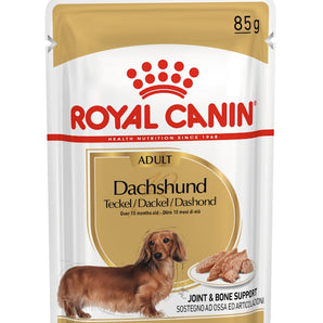 Royal Canin DACHSHUND ADULT Mousse
