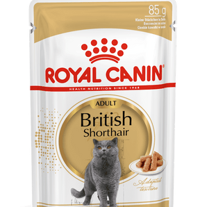 Royal Canin BRITISH SHORTHAIR ADULT in Soße