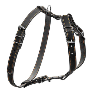 Ledergeschirr Collar  1-Ply Schwarz