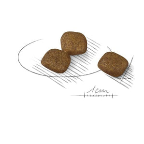 Royal Canin COAT CARE MINI