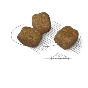 Royal Canin DENTAL CARE MINI