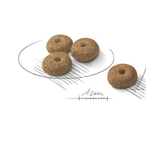 Royal Canin STERILISED MINI