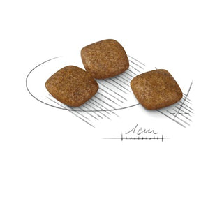Royal Canin RELAX CARE MINI