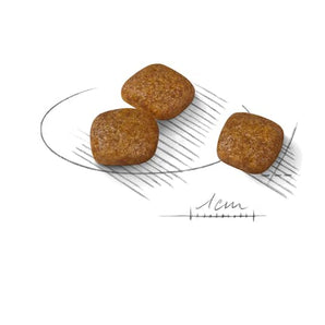 Royal Canin URINARY CARE MINI