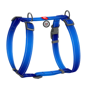 Hunde-H-Geschirr Collar WAUDOG Nylon Mono mit QR-Pass Blau