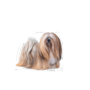 Royal Canin EXIGENT Mousse