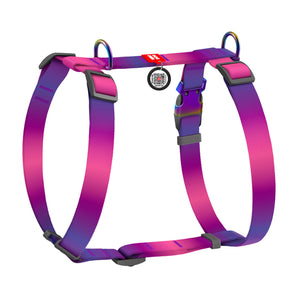 Hunde-H-Geschirr Collar WAUDOG Nylon Recycled mit QR-Pass, S, 15mm