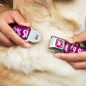 Buckle-Down  Hundehalsband "I'M 99.9% SURE I'M A DISNEY PRINCESS"