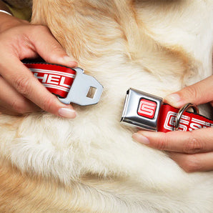 Buckle-Down Hundehalsband  "Shelby"