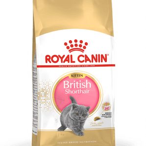 Royal Canin BRITISH SHORTHAIR KITTEN