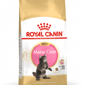 Royal Canin MAINE COON KITTEN