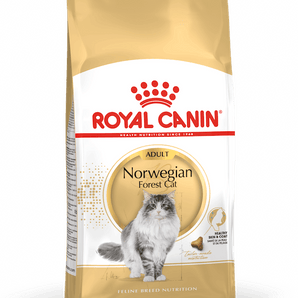 Royal Canin NORWEGIAN FOREST CAT ADULT
