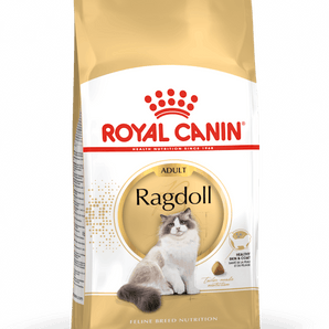Royal Canin RAGDOLL ADULT