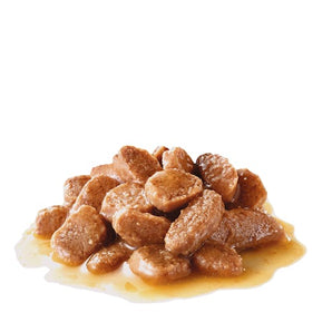 Royal Canin HAIRBALL CARE in Soße