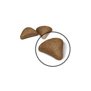 Royal Canin HAIRBALL CARE
