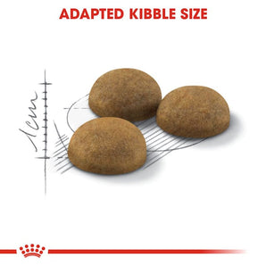 Royal Canin INDOOR LONGHAIR