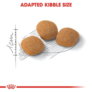 Royal Canin PROTEIN EXIGENT