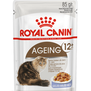 Royal Canin AGEING 12+ in Gelee