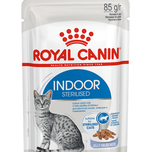 Royal Canin INDOOR in Gelee