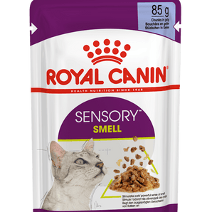 Royal Canin SENSORY Smell in Gelee