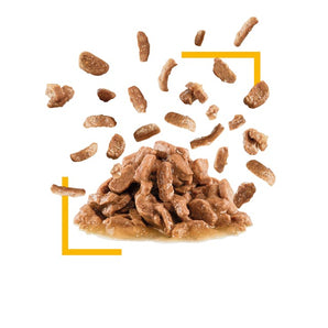 Royal Canin SENSORY Taste in Soße
