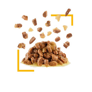 Royal Canin SENSORY Taste in Gelee