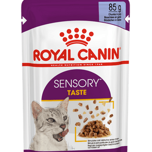 Royal Canin SENSORY Taste in Gelee