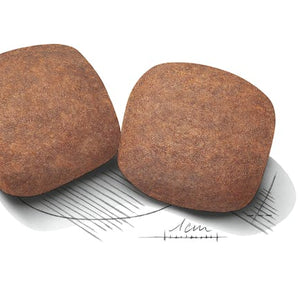 Royal Canin GIANT ADULT