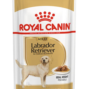 Royal Canin LABRADOR RETRIEVER ADULT in Soße