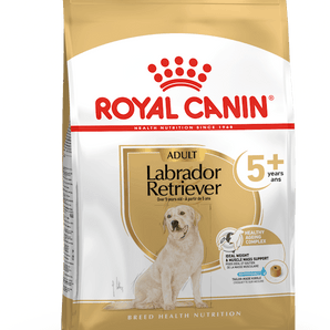 Royal Canin LABRADOR RETRIEVER ADULT 5+