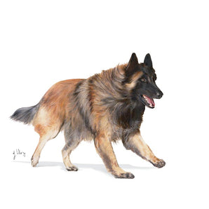 Royal Canin SPORTING LIFE ENERGY 4300