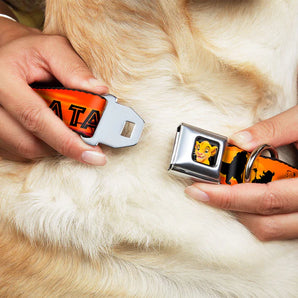 Buckle-Down Hundehalsband "Lion King: HAKUNA MATATA"