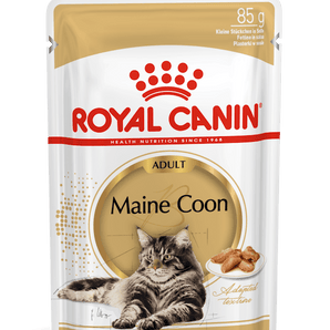 Royal Canin MAINE COON ADULT in Soße