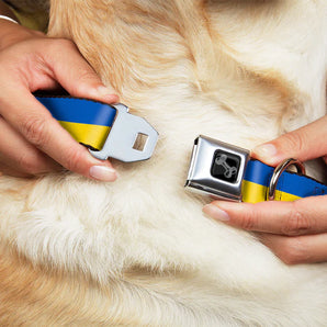 Buckle-Down  Hundehalsband "Ukrainian Flag"