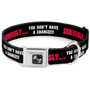 Buckle-Down Hundehalsband "SERIOUSLY…YOU DON'T HAVE A CHANCE"