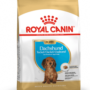 Royal Canin DACHSHUND PUPPY