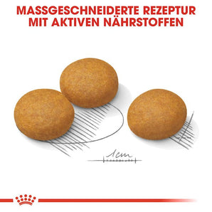 Royal Canin DERMACOMFORT MAXI