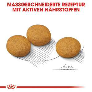 Royal Canin DERMACOMFORT MEDIUM