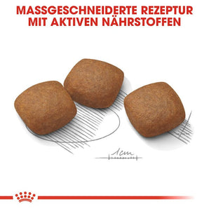 Royal Canin JOINT CARE MAXI