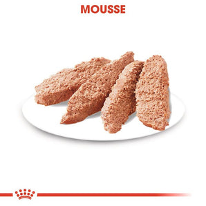 Royal Canin URINARY CARE Mousse