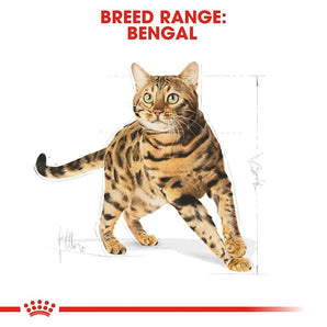 Royal Canin BENGAL ADULT