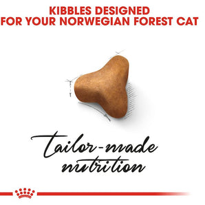Royal Canin NORWEGIAN FOREST CAT ADULT