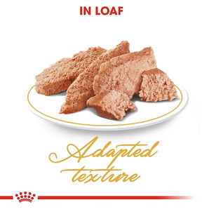 Royal Canin PERSIAN ADULT Mousse