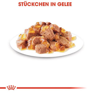 Royal Canin STERILISED in Gelee