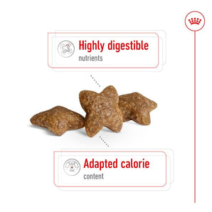 Royal Canin Mini Adult