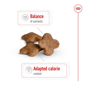 Royal Canin MINI ADULT 8+