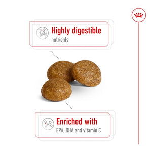 Royal Canin X-SMALL ADULT