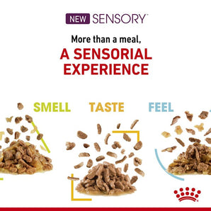 Royal Canin SENSORY Smell, Taste, Feel Multipack in Soße