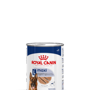 Royal Canin MAXI AGEING Mousse