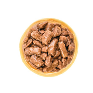 Royal Canin MEDIUM ADULT in Soße